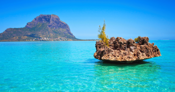 L’Océan Indien, destination vedette de FestiVitas 2026 !